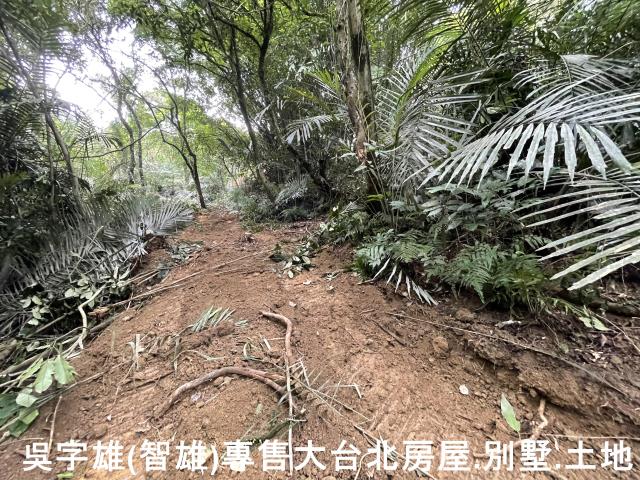雙溪休閒地-10
