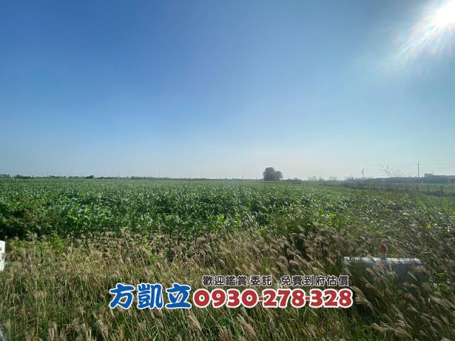 台南佳里農地-5