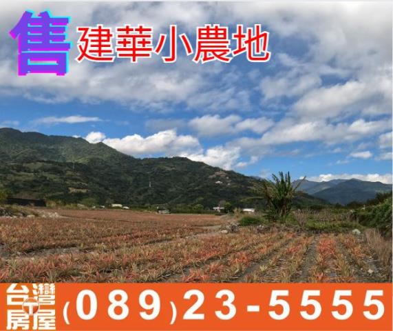 建華小農地