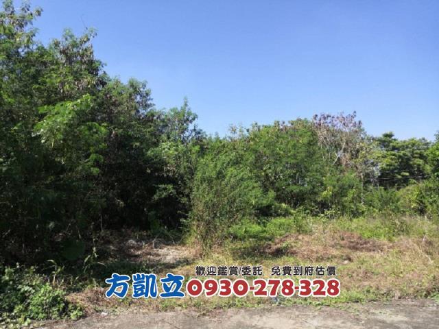 台南丙種建築用地-5