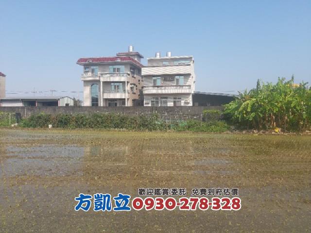 歸仁農地-10
