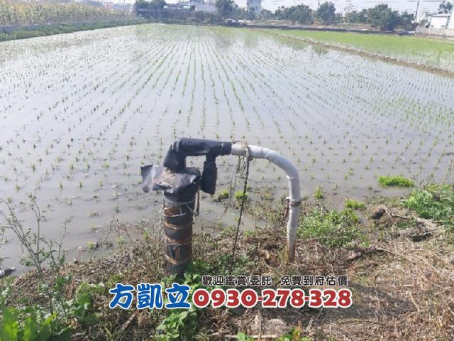 歸仁農地-3