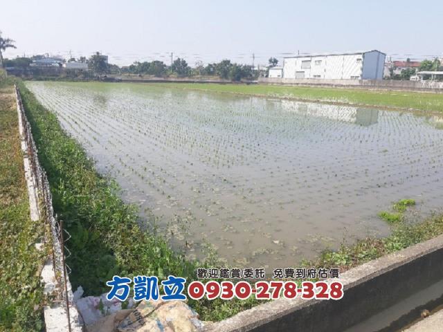 歸仁農地-5