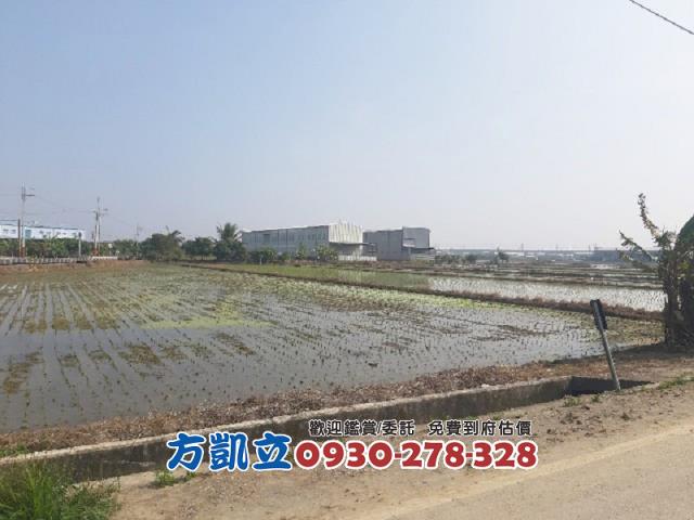 歸仁農地-6