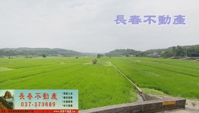 西湖農地-2