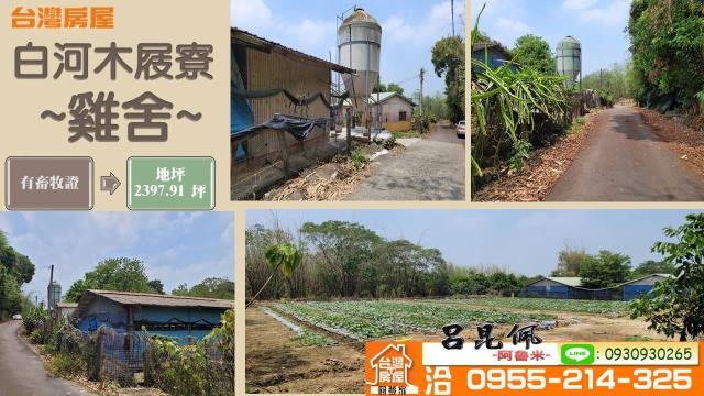 台南雞舍-1