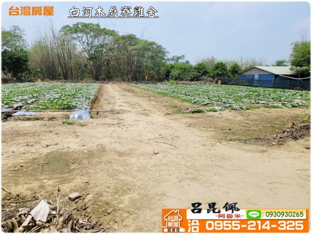 台南雞舍-9
