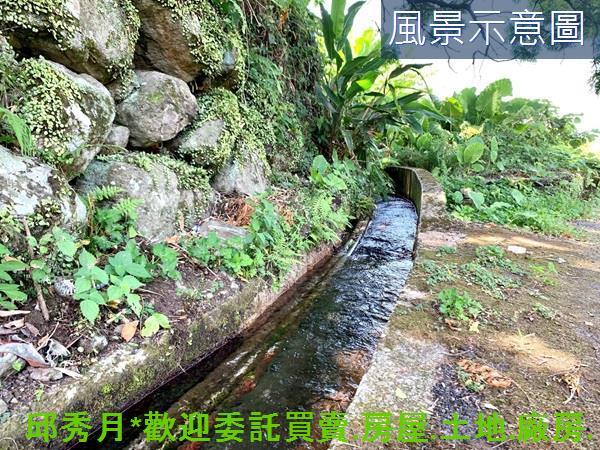 新北三芝農地-8