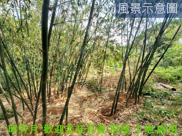 新北三芝農地-5