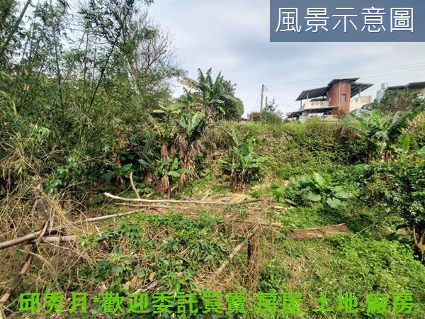 新北三芝農地-6