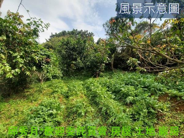 新北三芝農地-7