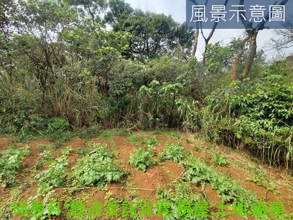 新北三芝農地-9