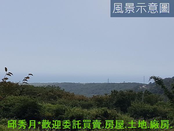三芝農地-1