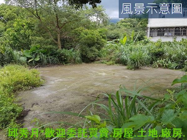 三芝農地-4
