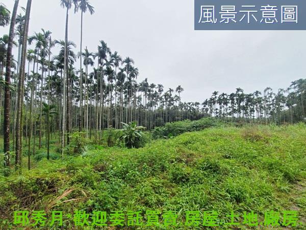 石門農地-9