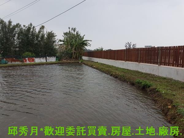 淡水農地-4
