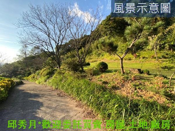 三芝農地-12