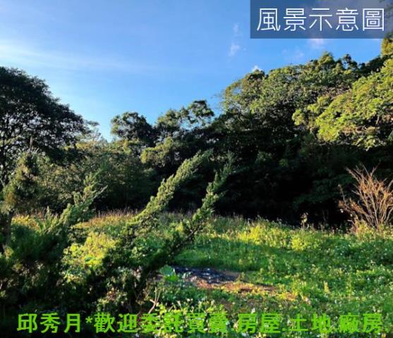 三芝農地-4