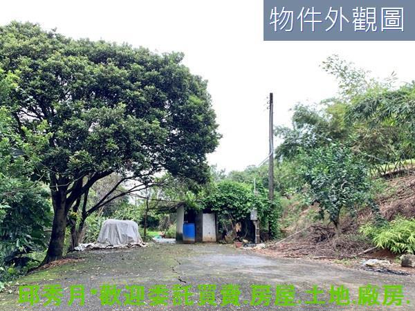 新北淡水農地-8