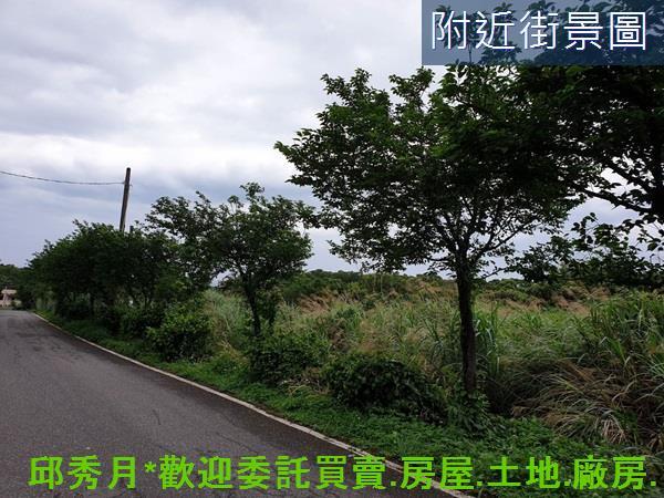 三芝農地-3