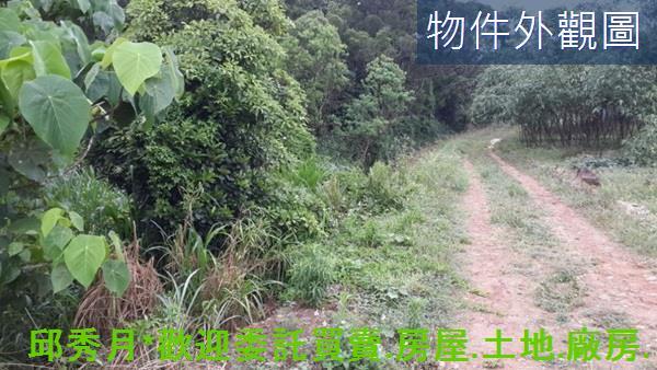 淡水農地-4
