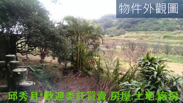 三芝農地-9