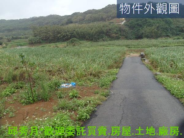 三芝農地-1