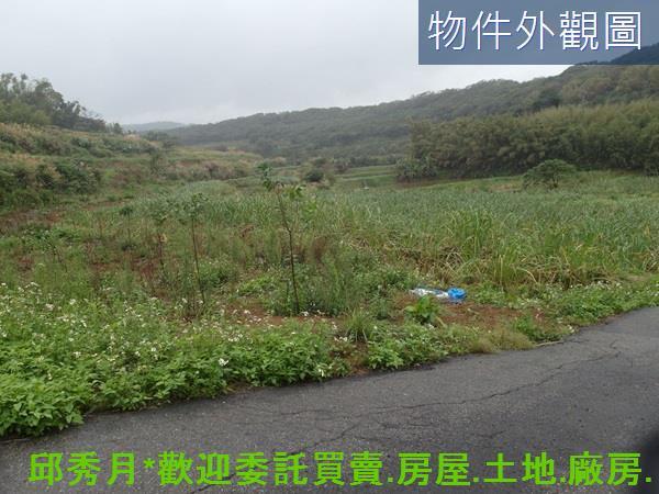 三芝農地-3