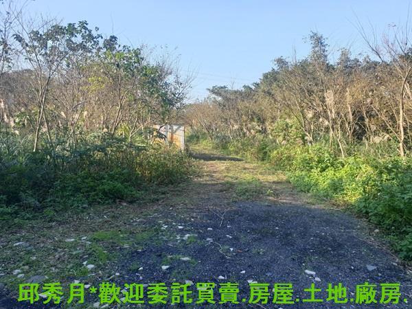 三芝農地-3