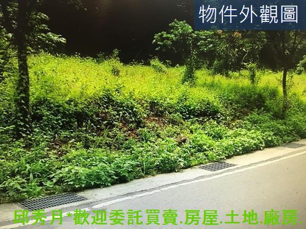 新北農地-2