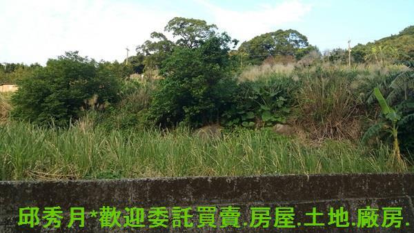 新北農地-3