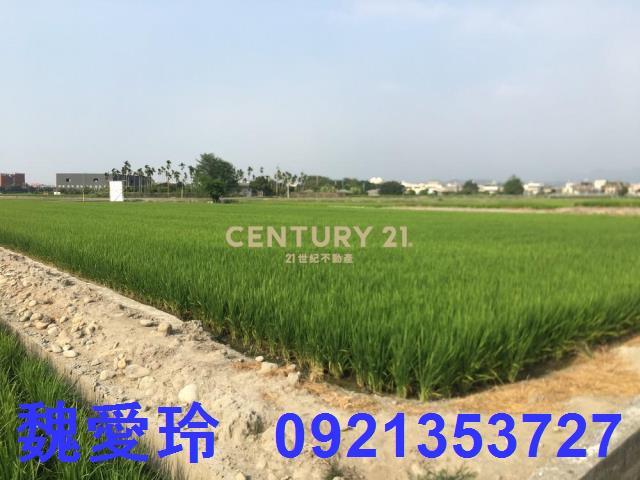 南投農地-3