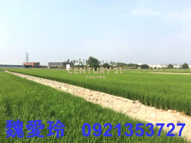 南投農地-4