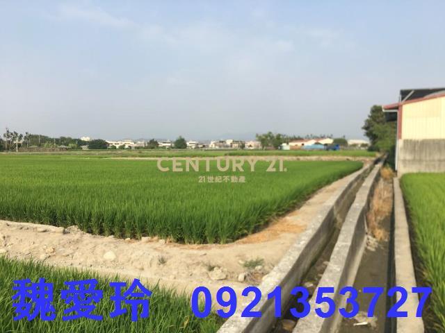 南投農地-5