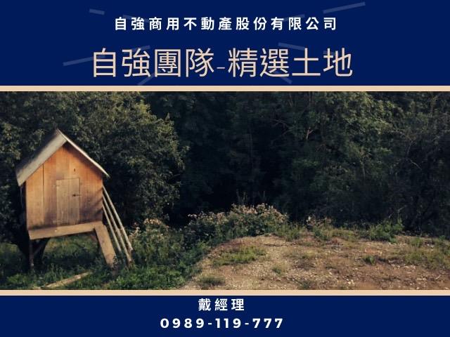 卑南特定目的事業用地-1