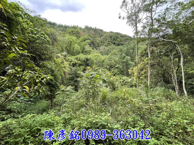 南投農地-4