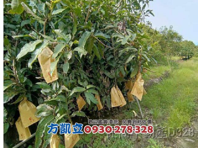 台南玉井農地-3