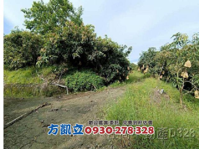 台南玉井農地-5