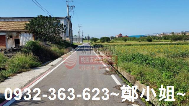 桃園觀音農地-3