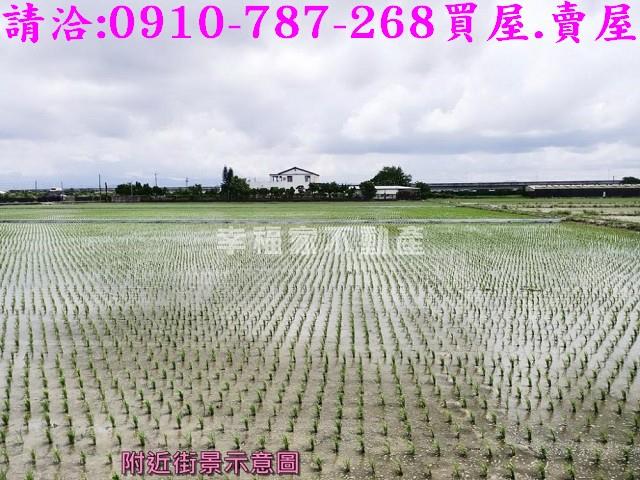 六甲農地-4