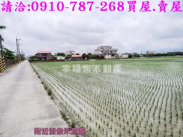六甲農地-5