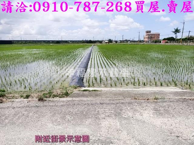六甲農地-6