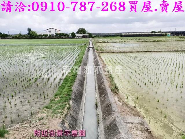 六甲農地-9