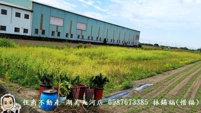 台南農地-2