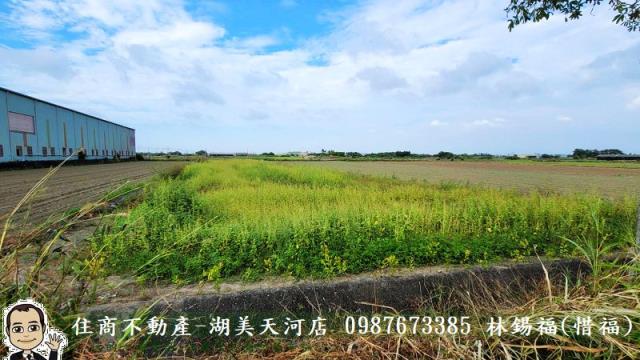 台南農地-7