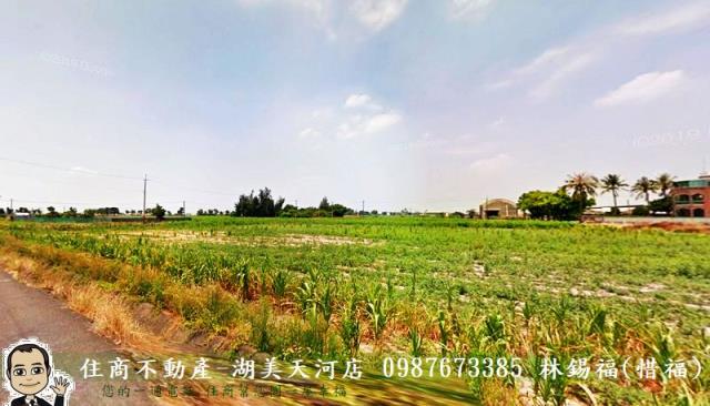 鹽水農地-4