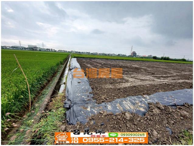 白河農地-11