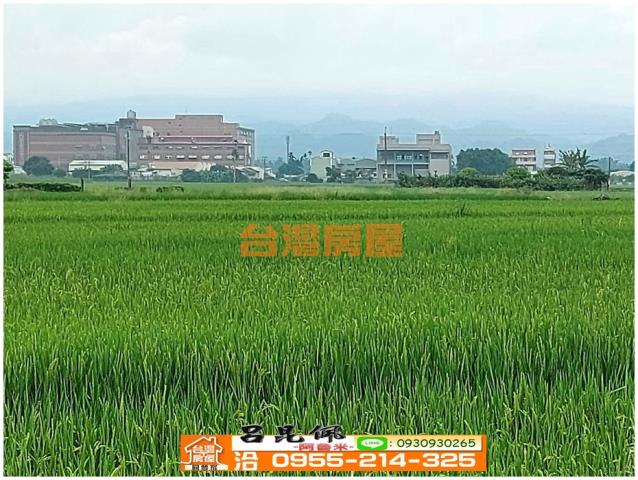 白河農地-12