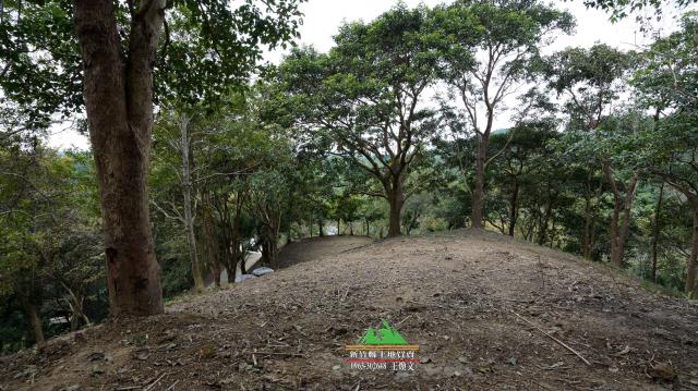 新竹北埔農地-13