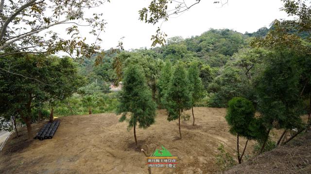 新竹北埔農地-5